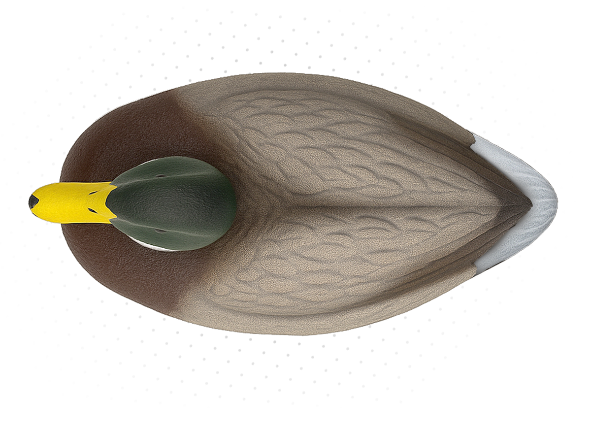 Duck Decoys