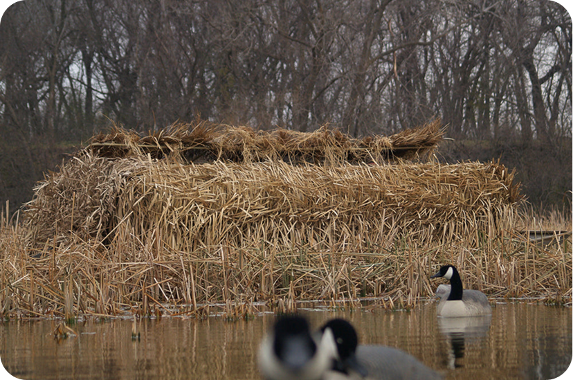 Built for the Hunt: The Science Behind Ordek™ Durability