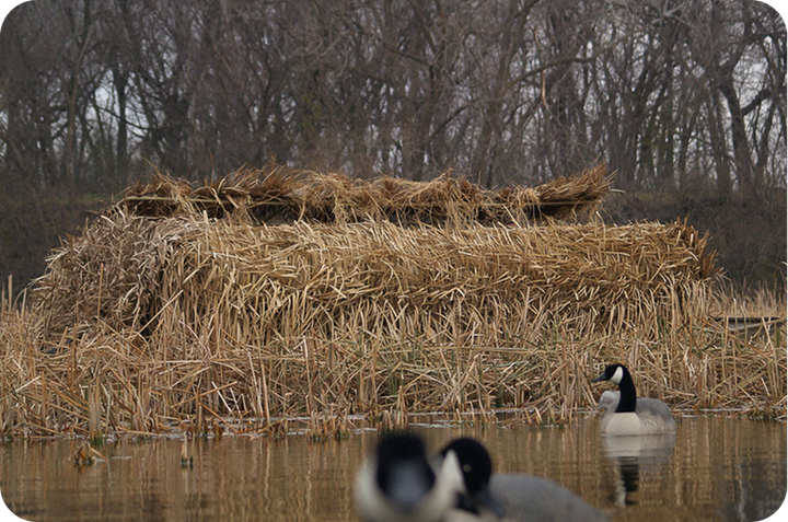 Built for the Hunt: The Science Behind Ordek™ Durability