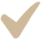 Check icon