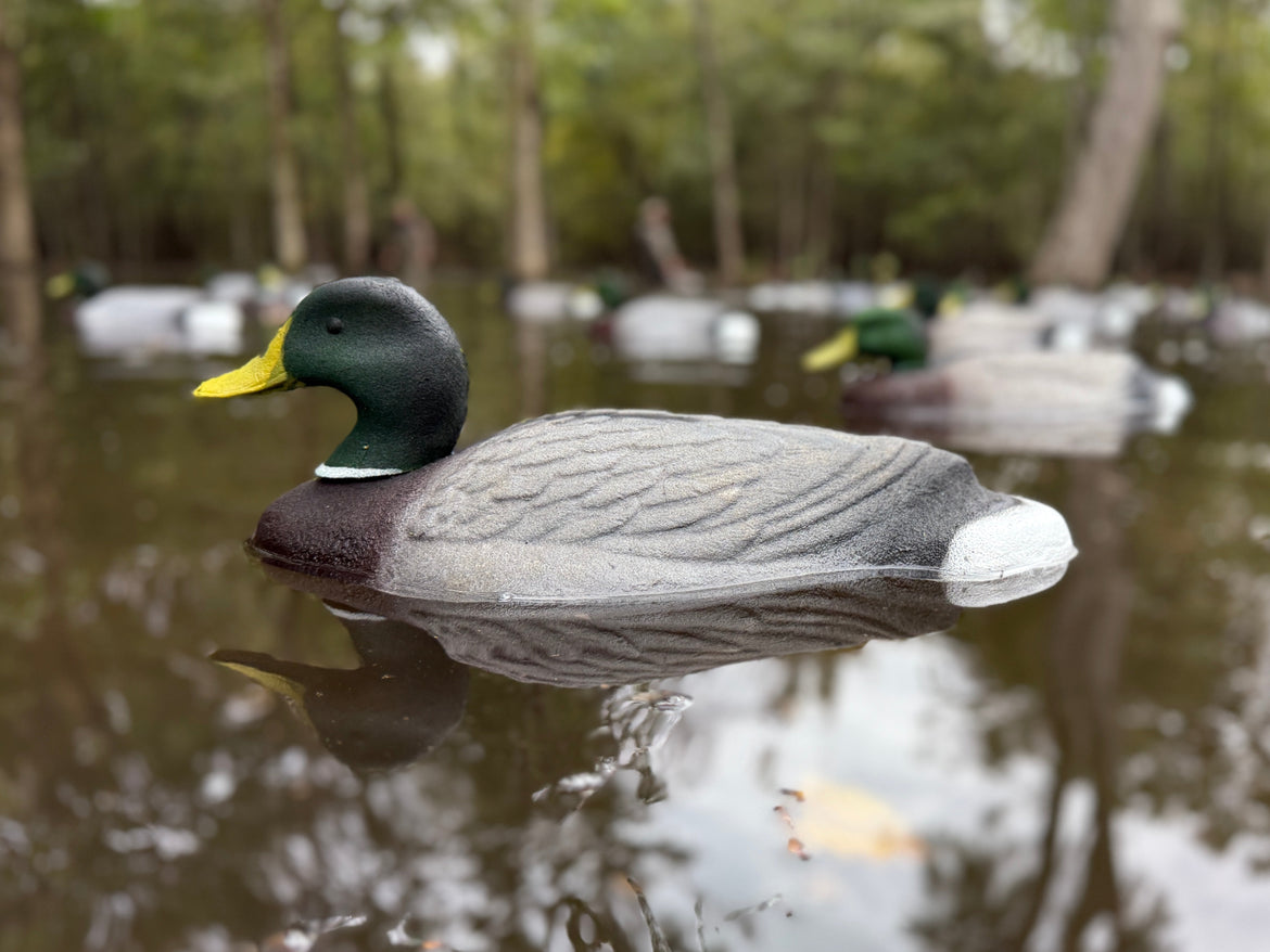 Duck decoy floating on water with trees in the background