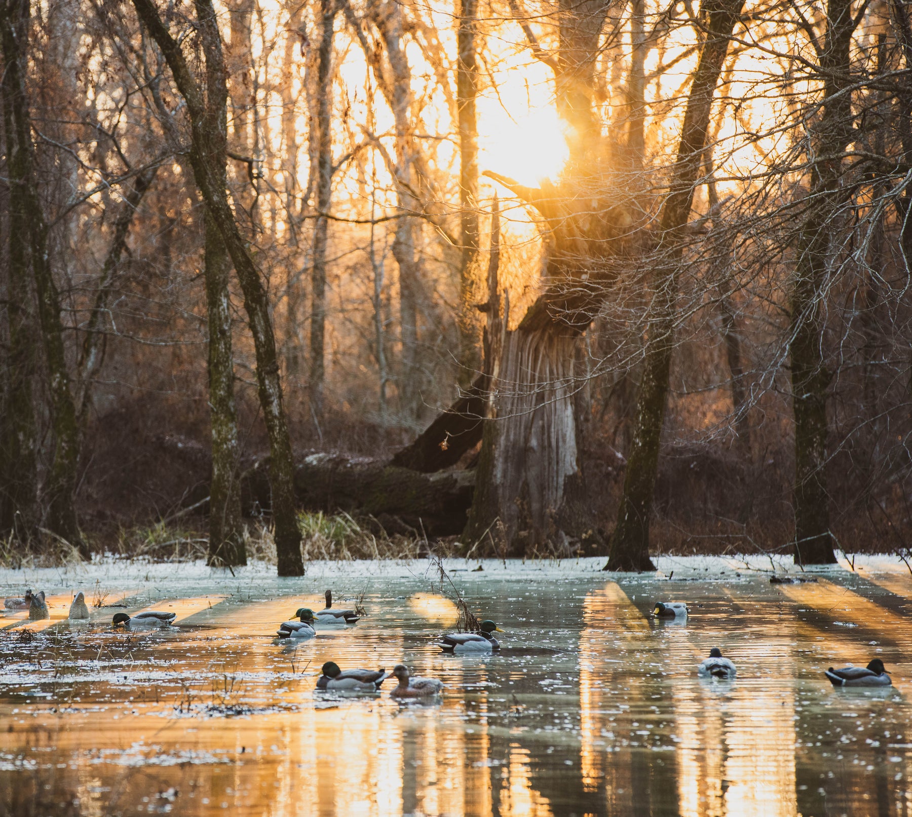 Field-Tested Strength