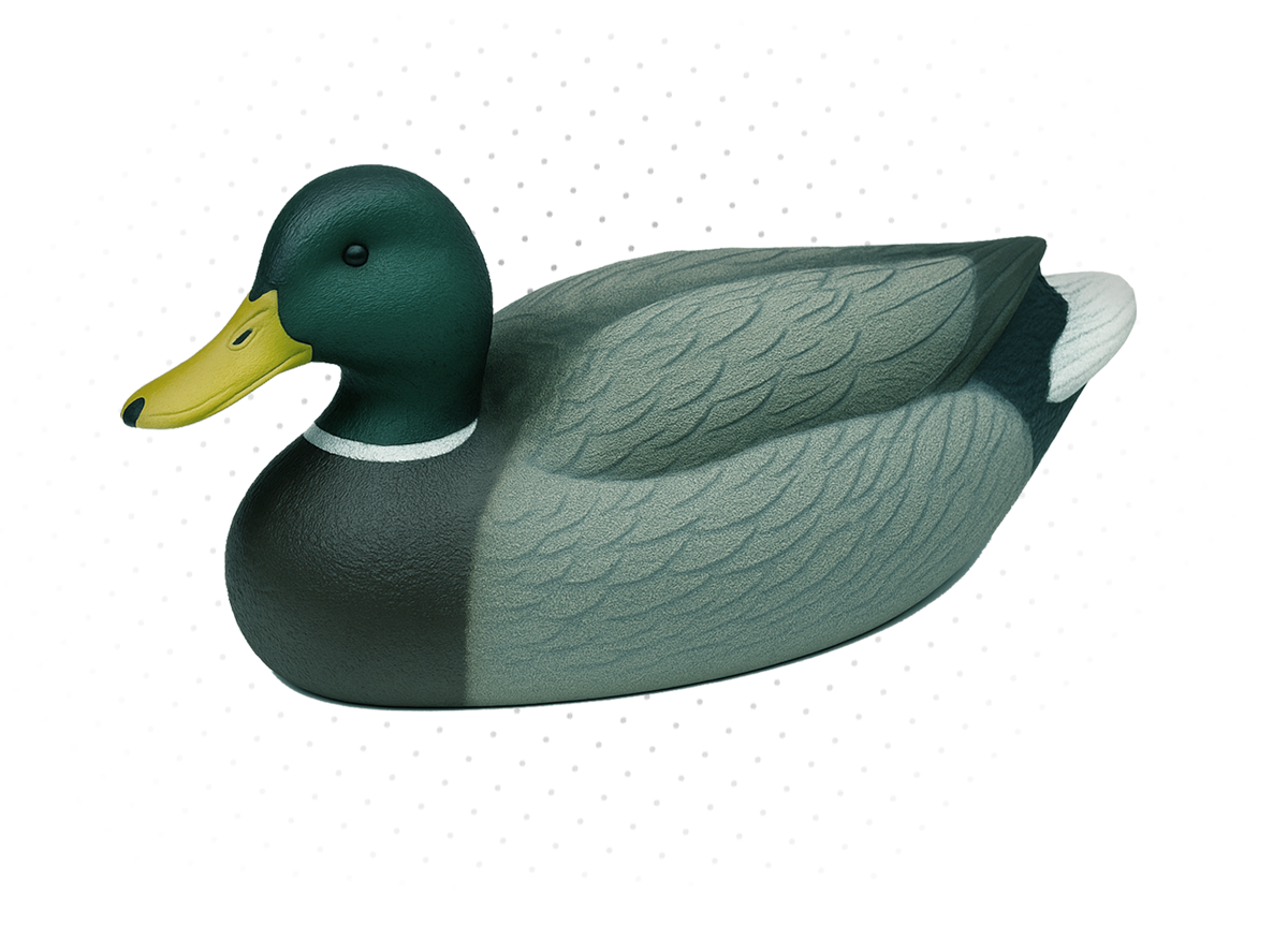 Duck Decoys