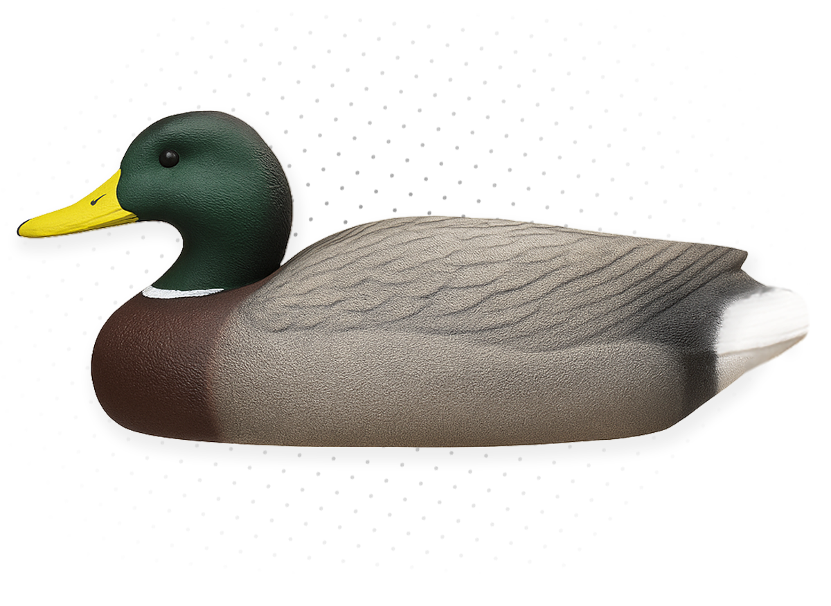 Duck Decoys
