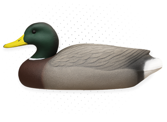 Duck Decoys